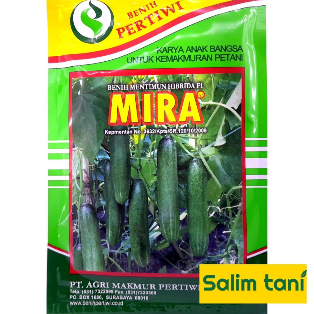Benih Bibit Timun Hibrida Mira F1 25 Gram Mentimun Hibrida 25Gr Timun Mira 25 Gram Dari Benih Pertiw