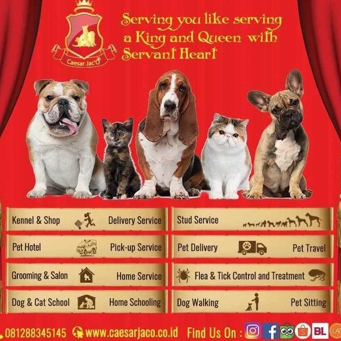 Jual Kandang Pagar Besi Anjing Kucing Kelinci Ayam Hewan Murah