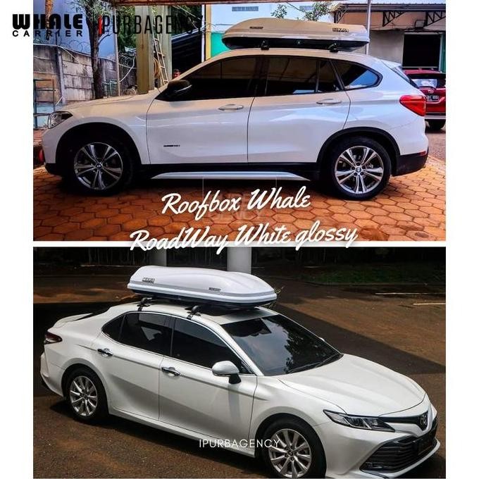 Roof box - Whale RoadWay