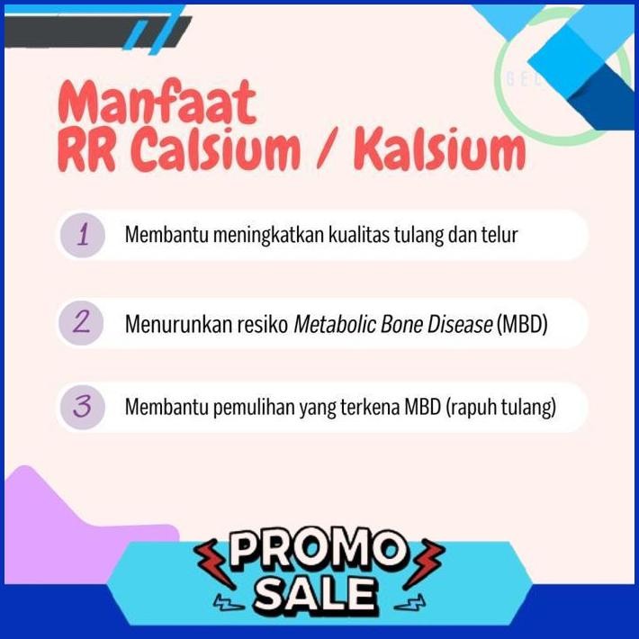 FLASH SALE RR Kalsium Calsium Reptil Gecko AFT Bearded Dragon