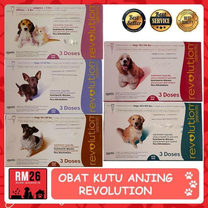 OBAT KUTU TETES UNTUK ANJING REVOLUTION