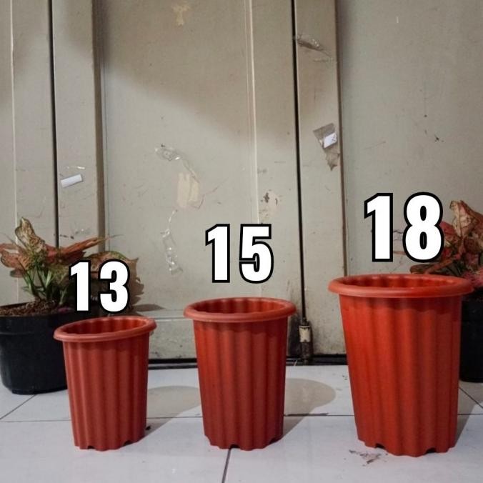 Promo Cod Pot Tinggi Model Yogap, Pot Swiss Warna, Pot Bunga Tinggi, Aglonema ...