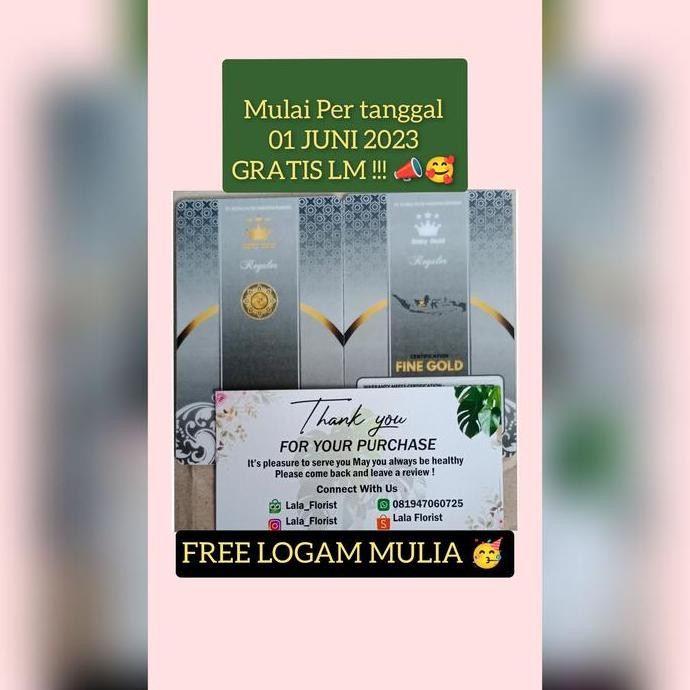 bibit tanaman buah anggur brazil jaboticaba