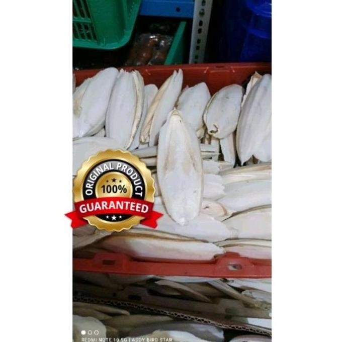 tulang sotong makanan burung asinan untuk burung Lovebird, kenari,parkit,perkutut,murai, paruh bengk