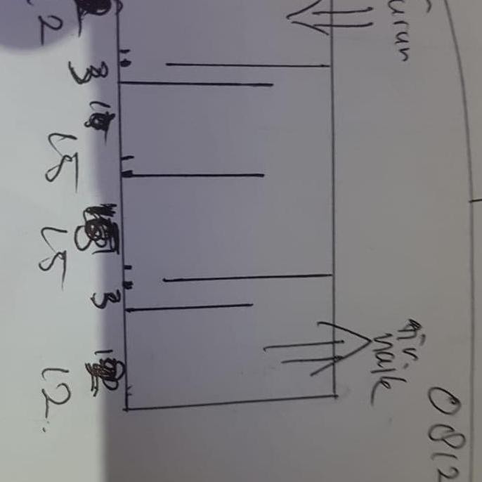 CUSTOM AQUARIUM SUMP FILTER DAN AQUARIUM CUPANG DIBOR TENGAH kaca 5 mi