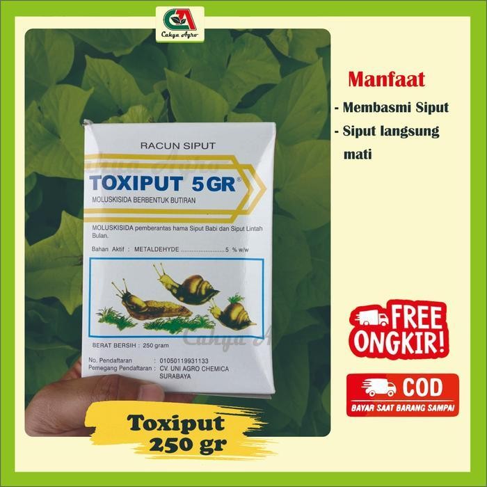 RACUN SIPUT TOXIPUT 250 GRAM