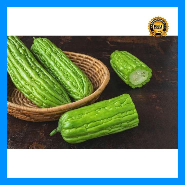 [Cod] - 4 Biji - Benih Pare Paria Raden F1 - Panah Merah / Biji Pare / Bibit Pare / Benih Sayur / Ta