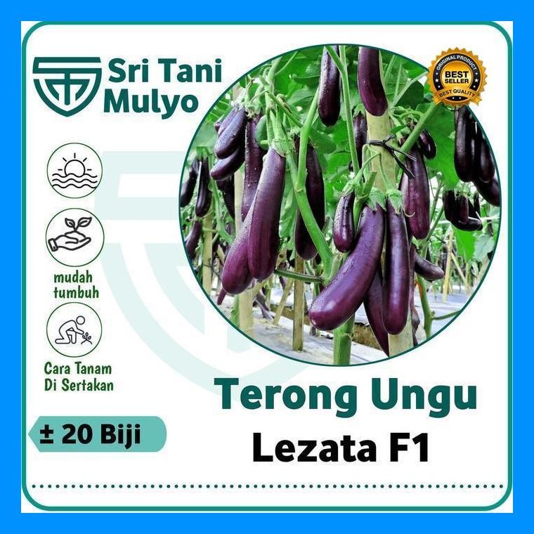[Cod] - 20 Biji - Benih Terong Ungu Lezata F1 Cap Panah Merah - Bibit Sayuran - Benih Sayuran Paket 