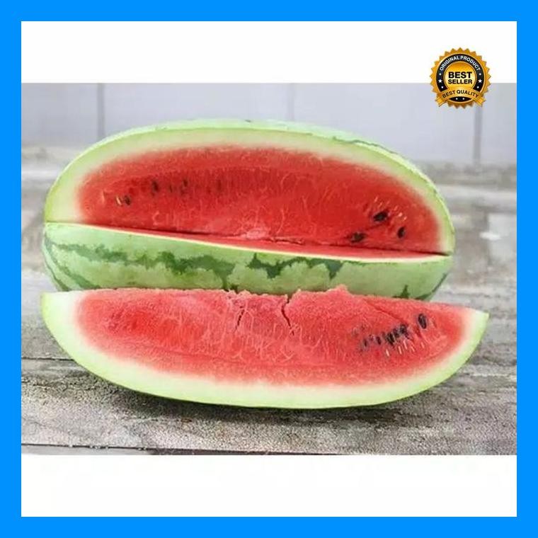 [Cod] - 4 Biji - Benih Semangka Merah Long Dragon Semangka Besar Panjang Bibit