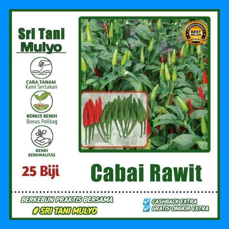 [Cod] - 25 Biji - Benih Cabai Rawit Hijau Robin F1 - Bibit Cabe Benih Sayuran