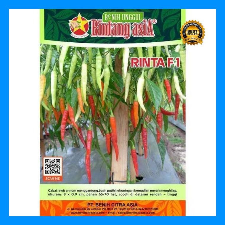 [Cod] - 20 Biji - Benih Cabai Rawit Annum Hibrida Rinta F1 - Bintang Asia