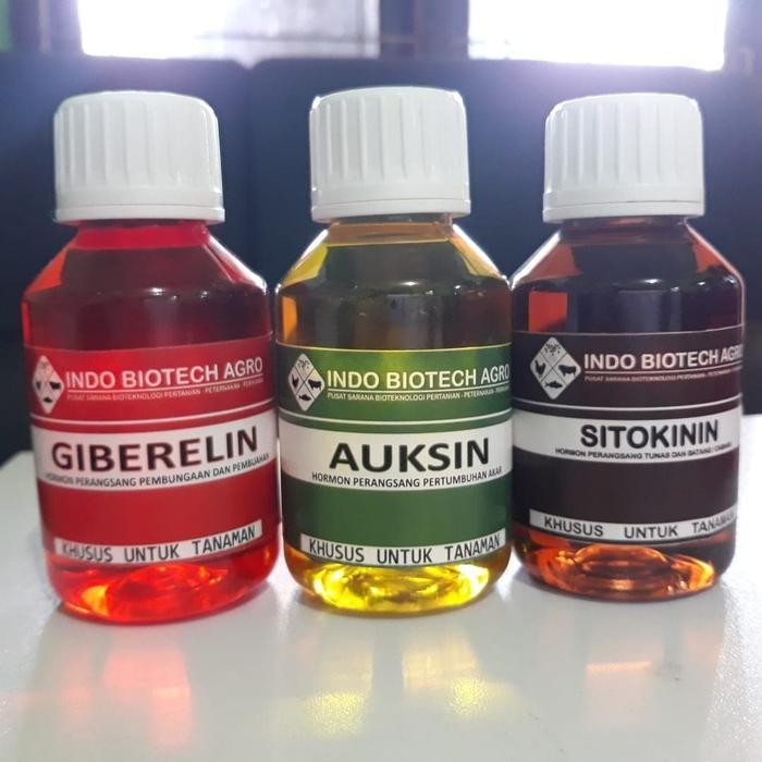 Paket Lengkap (Giberline, Sitokinin, Auksin)