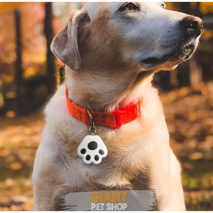 Premium LIONTIN GPS Hewan Kucing & Anjing | GPS TRACKER | Kalung Pelacak Hewan Promo