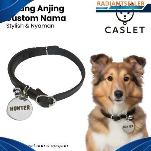 Terlaris Kalung Anjing  Custom Nama Liontin Metal Kulit Premium