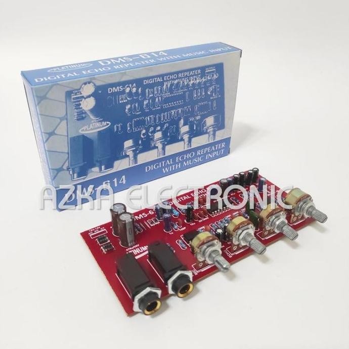 Kit Digital Echo Repeater Plus Music Input DMS 614