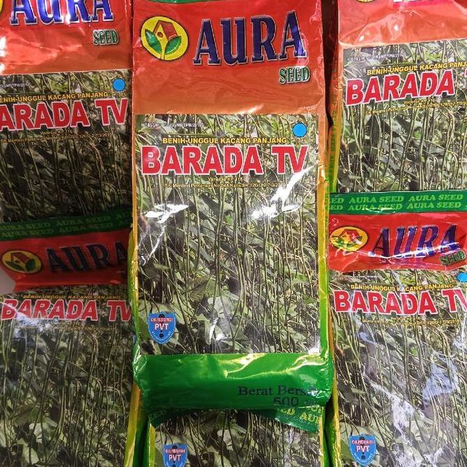 Benih Kacang Panjang Barada Tv 500 Gram - Aura Seed