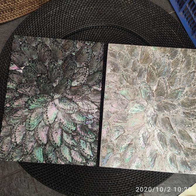 @#@#@#] Placemat Kerang abalone