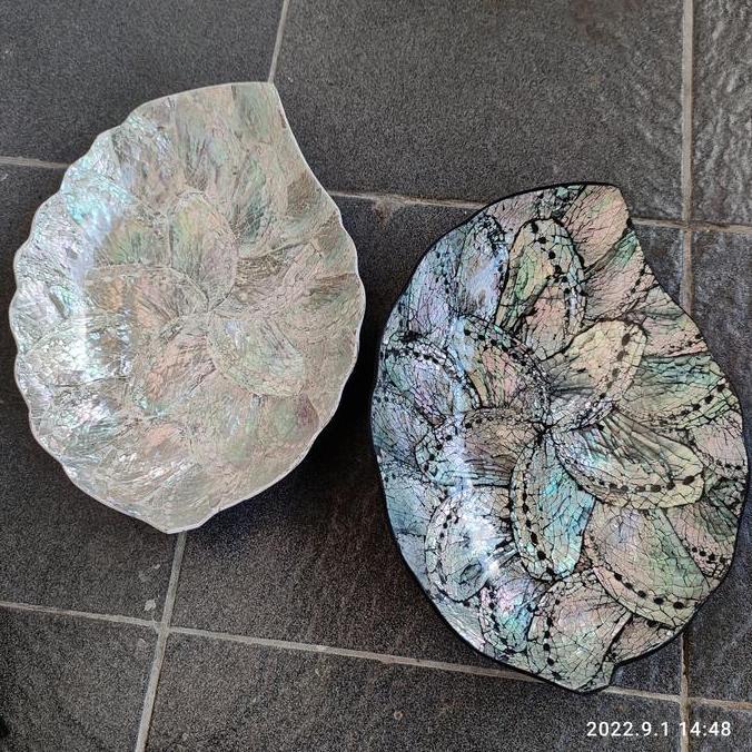 :<:<:<:<] shell plate abalone / piring kerang abalone SEBELAS