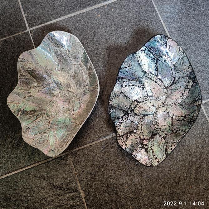 +%+%+%] shell plate abalone kima / piring kerang abalone