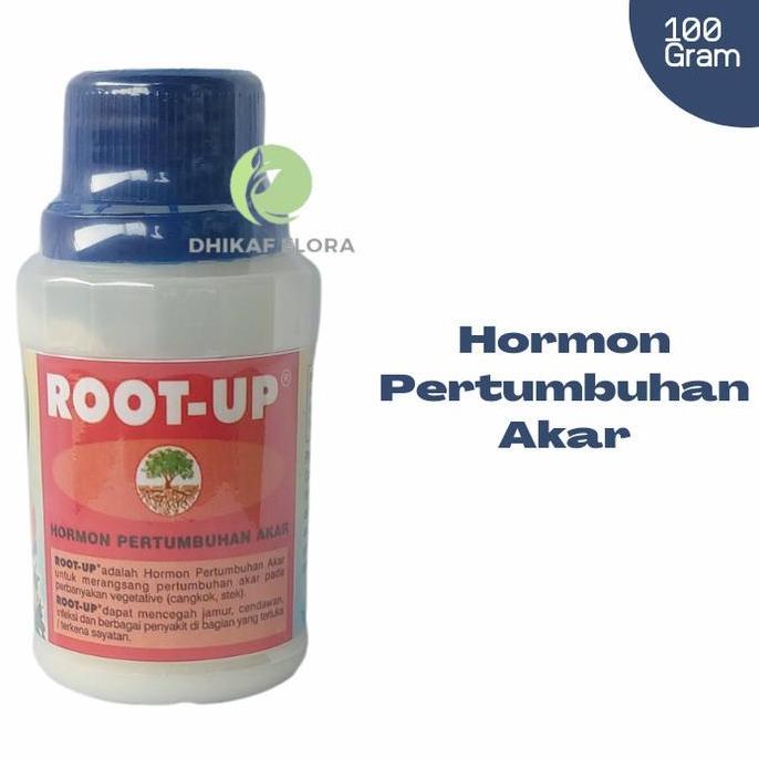 ROOT UP HORMON PERTUMBUHAN AKAR