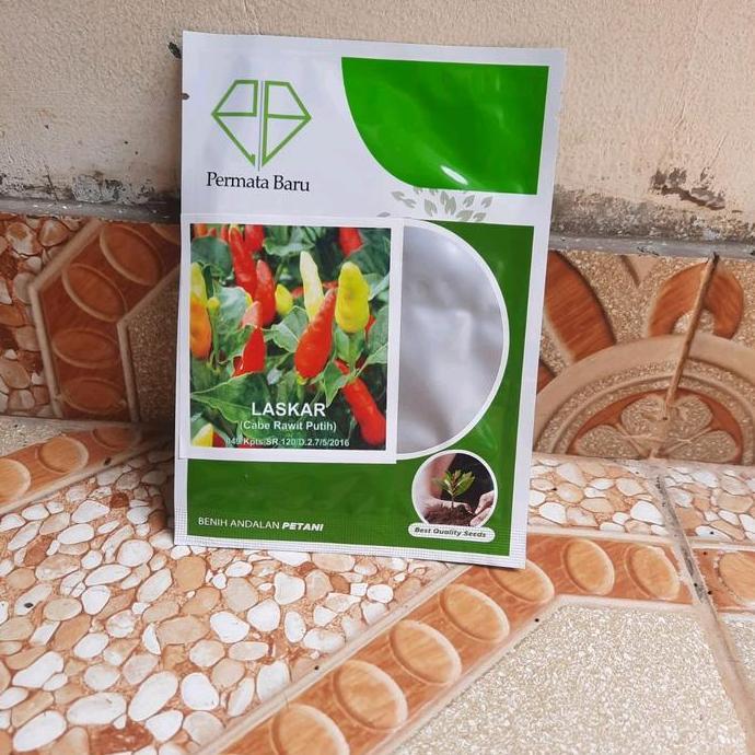 Promo Benih Bibit Cabai Rawit Putih Prentul Laskar 10 Gram Produk Permata Baru | Bibit Benih Cabe Ra