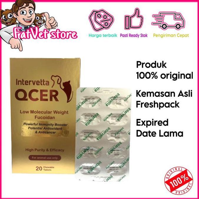 INTERVETTA QCER OBAT TABLET KANKER TUMOR ANJING KUCING