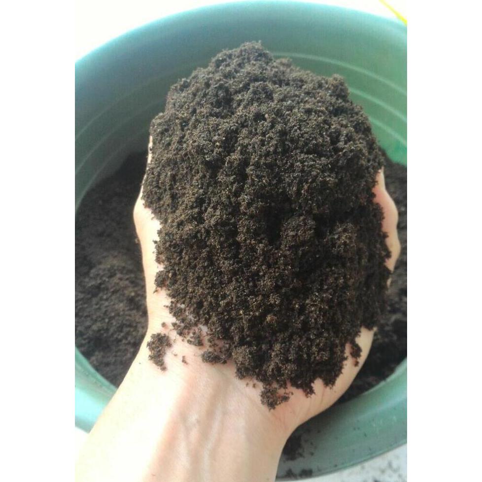 PUPUK HIJAU / KOMPOS / PUPUK ORGANIK AZOLLA MICROPHYLLA MURNI 100%