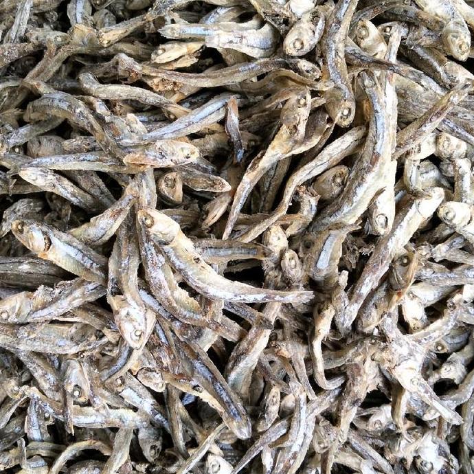 Ikan Teri Besar / Ikan Teri Kasar / Ikan Teri Lokal / Ikan Teri Pulau / Teri Kalimantan / Teri Jengk