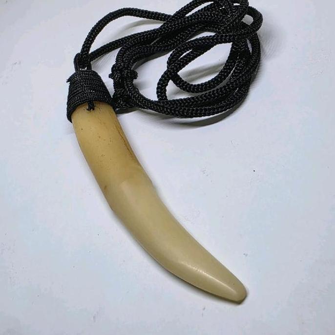 Kalung leontin kucan tarcan hoby