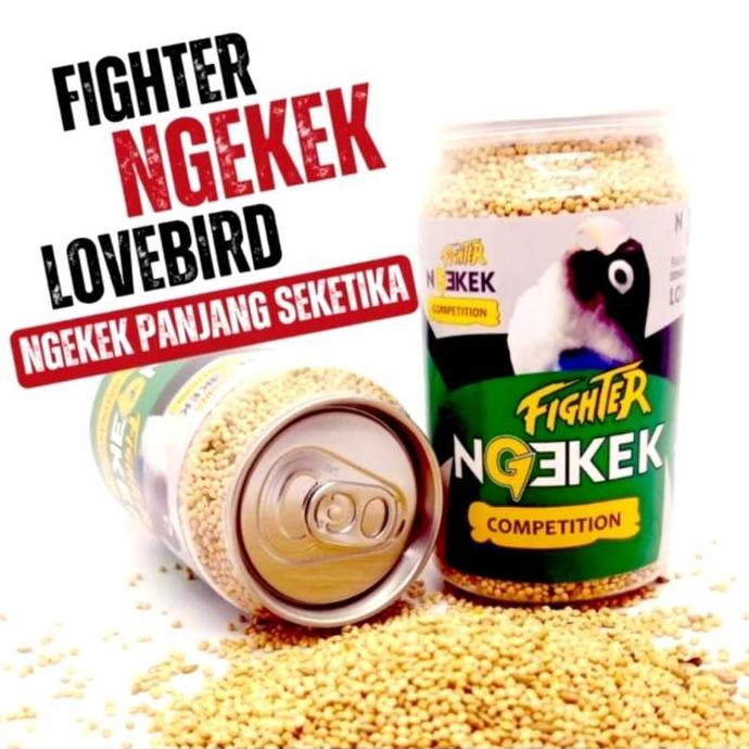 NGEKEK LOVEBIRD PAKAN BURUNG LOVEBIRD NGEKEK KONSLET
