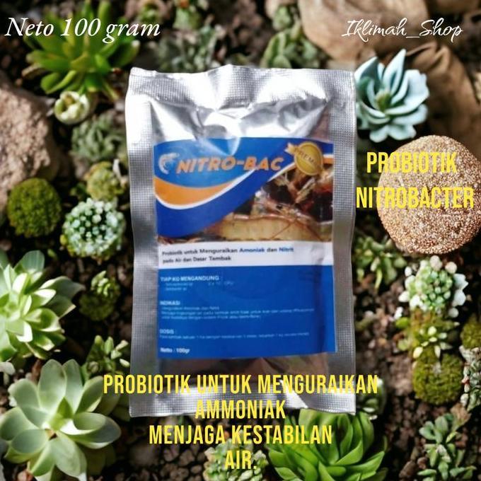 PROBIOTIK NITROBACTER 100GRAM / NITROBACTER / PROBIOTIK NITROBACTER /