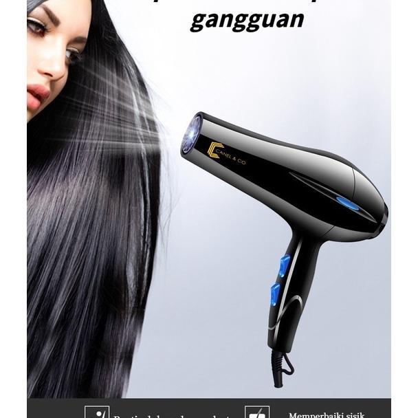 Hair Dryer Canel & Co Original / Pengering Rambut Canel And Co / Hair Dryer Beauty Salon Free Sisir