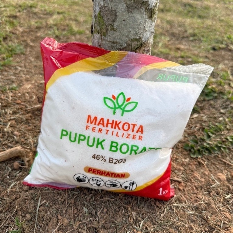 Pupuk Borate Mahkota Original ready stock untuk sawit dan tanaman holtikultura