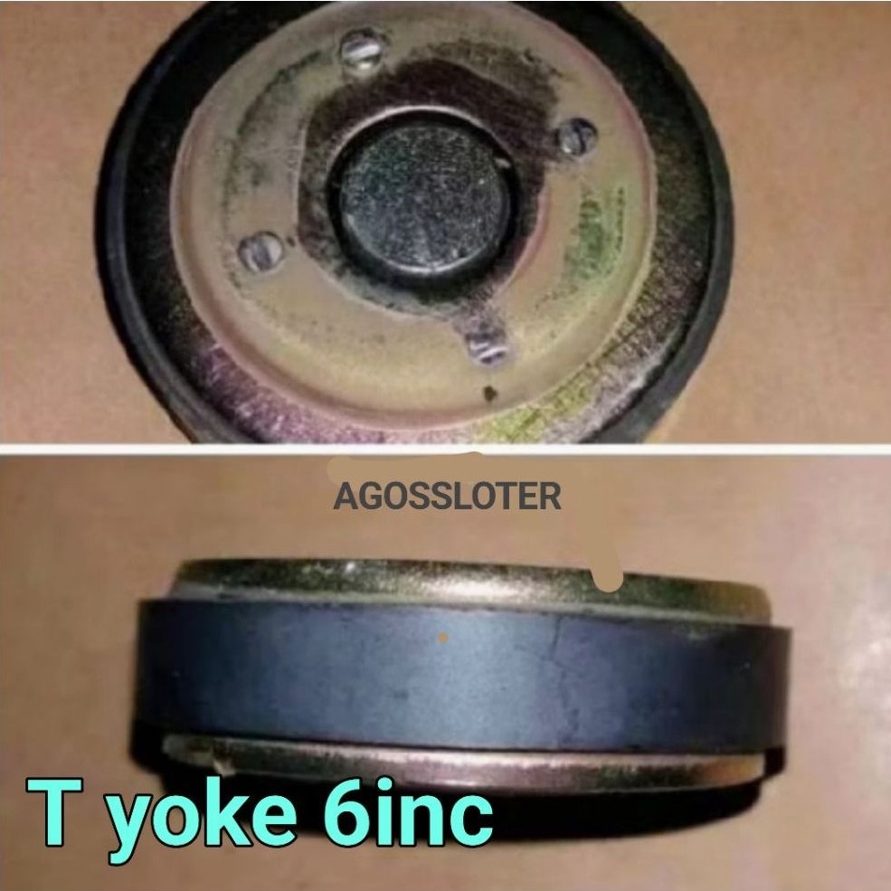 T yoke speaker plus magnet speaker 6in/8inc