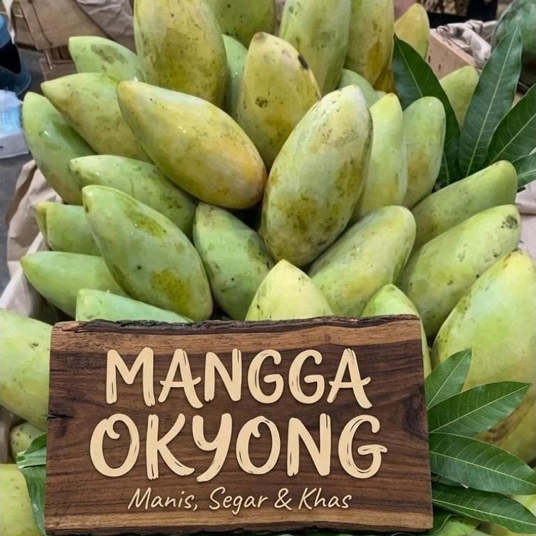 mangga okyong