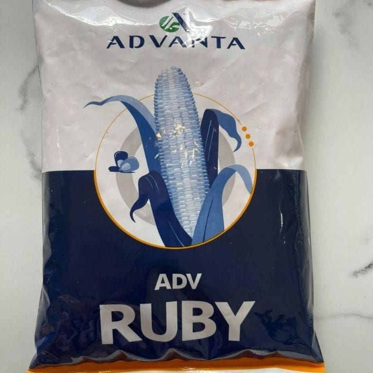 ADVANTA ADV RUBY
