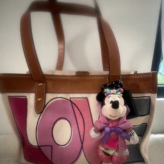 Tote coach preloved