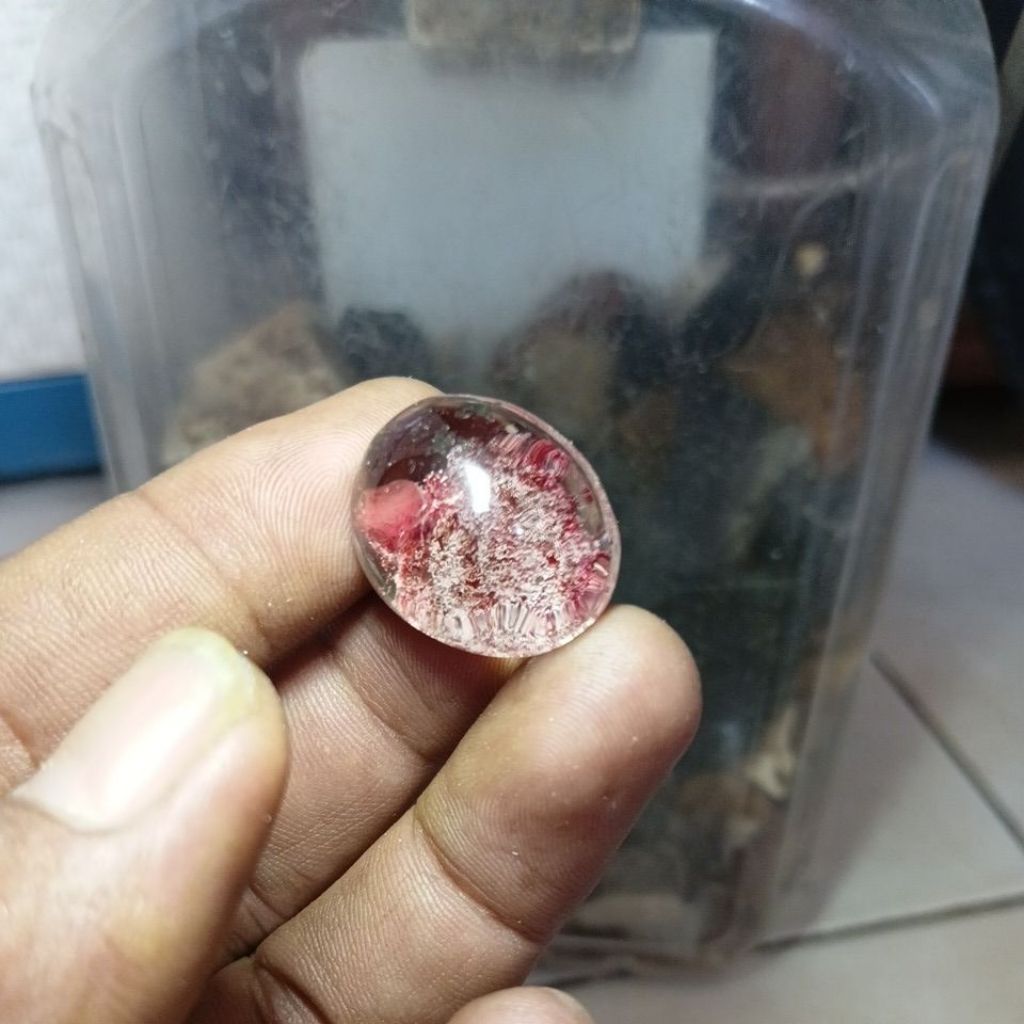 BATU KINYANG KARANG/KECUBUNG KARANG