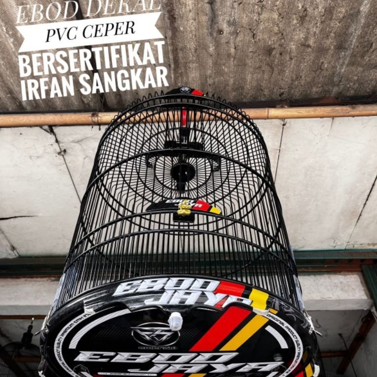 ebod dekal pvc sangkar murai dekal pvc ceper ebod