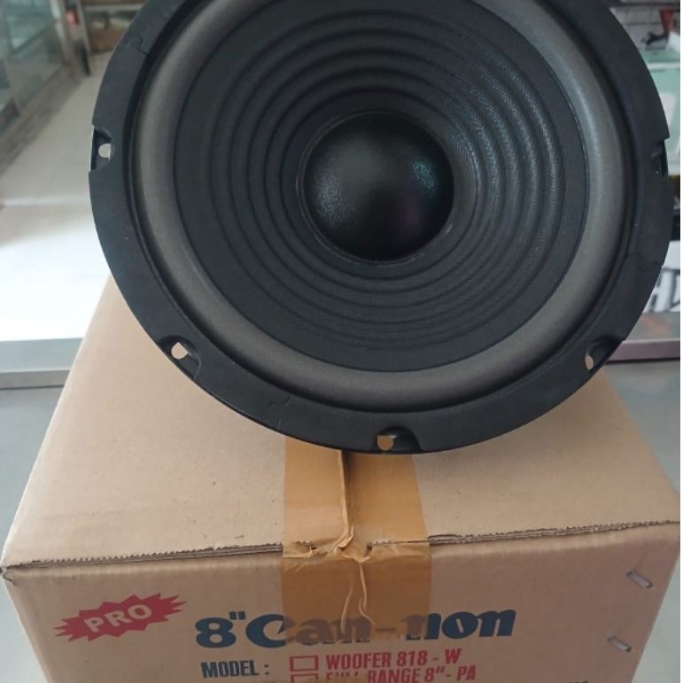 Speaker Canon 8" 200 Watt 8 ohms