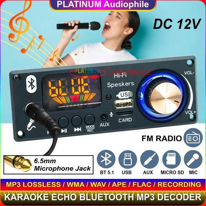 Modul MP3 Decoder Bluetooth Karaoke echo Recording Multimedia Trolley Speaker 160BT