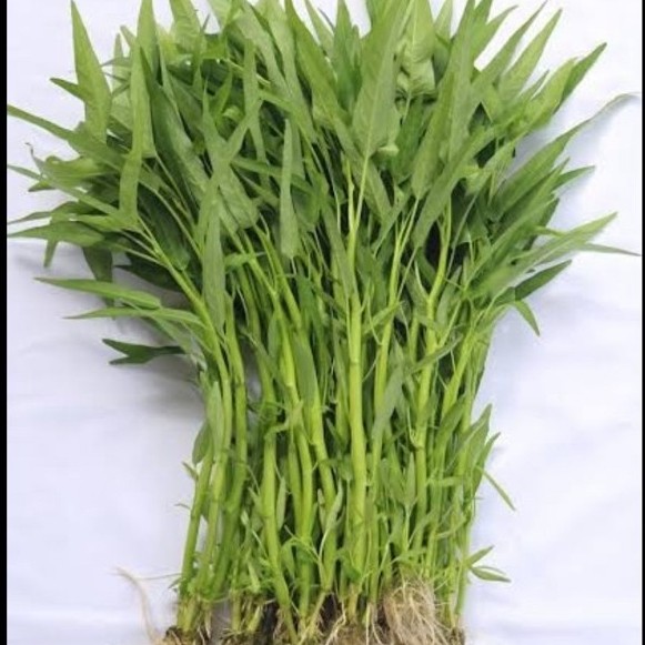 Kangkung  /Sayur kangkung /tumis kangkung