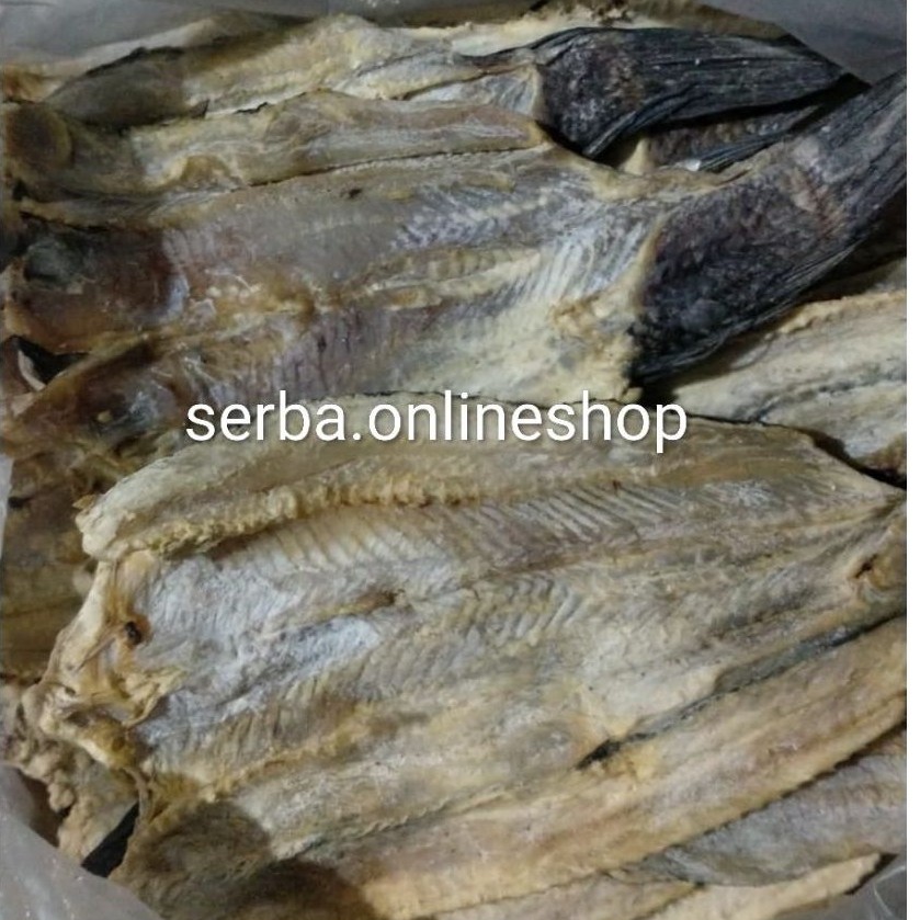 Ikan Asin Gabus Kering Premium