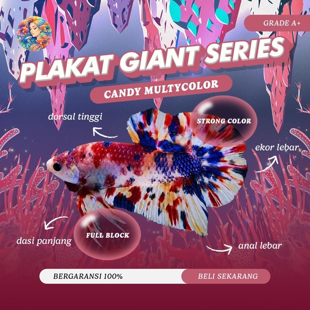 Cupang Aksesoris Aquarium - Plakat Giant Nemo Candy Multicolor Series GRADE A+