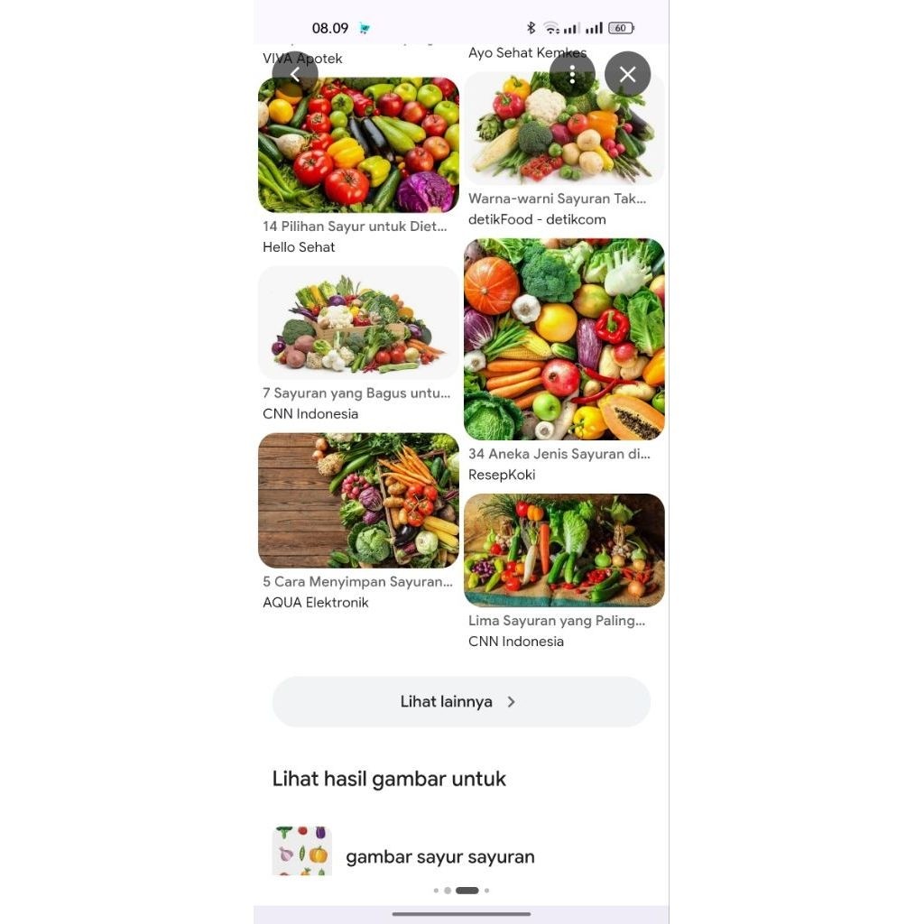 3 BIJI BENIH CABAI KATOKKON
