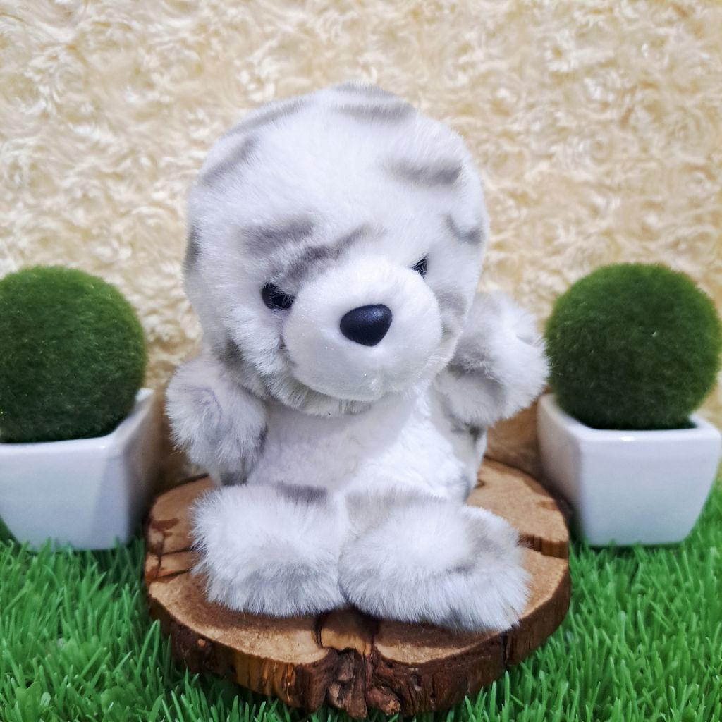 Boneka Seal Chubby AUR S Boneka Anjing Laut Putih Abu Boneka Seal Cute