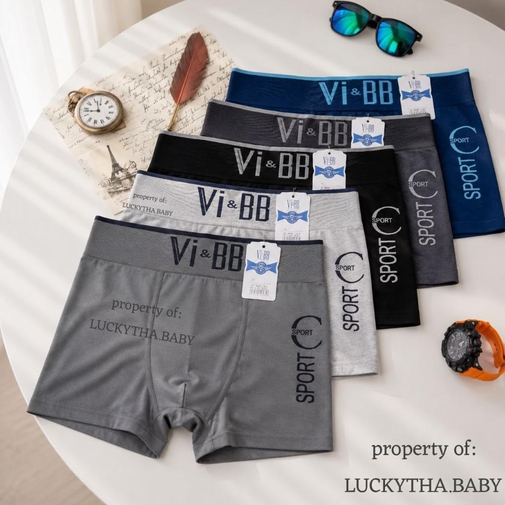 PREMIUM grosir 6pc- cd boxer pria  Vi&bb seamless / celana dalam boxer vibb / MR DAX pria cowo keren