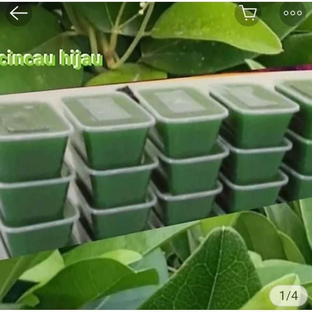 cincau.hijau.serat.organik
