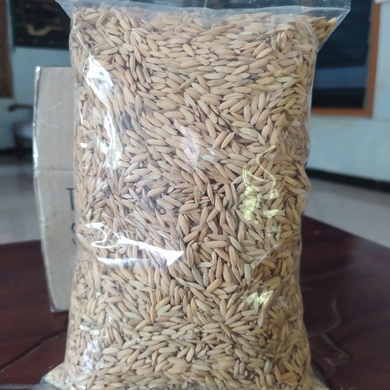 Gabah Bersih Kering, Gabah Beras Putih 700 gram - Pilihan Tepat untuk Pakan Ternak