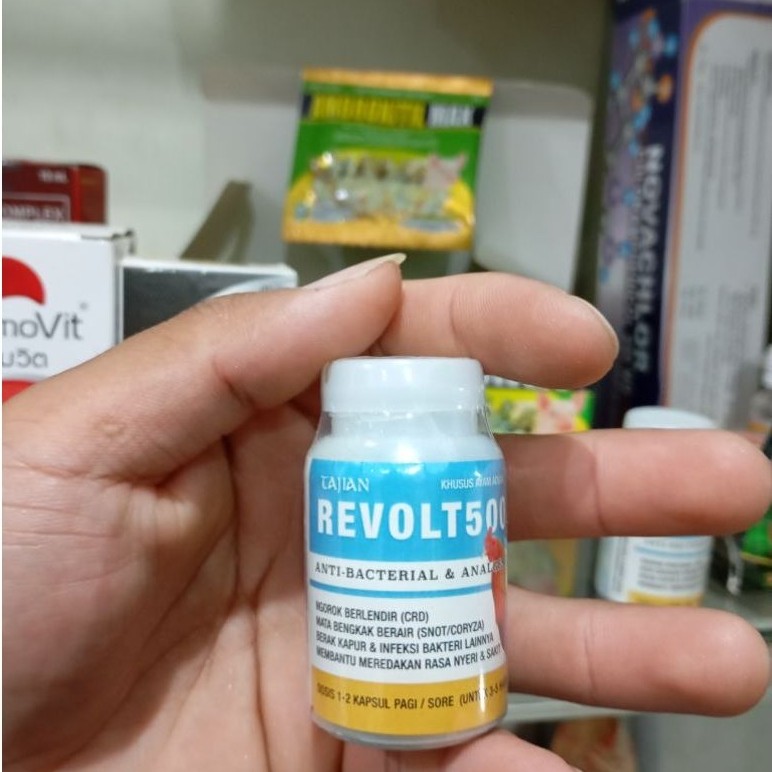 REVOLT 500 | TAJIAN BALI